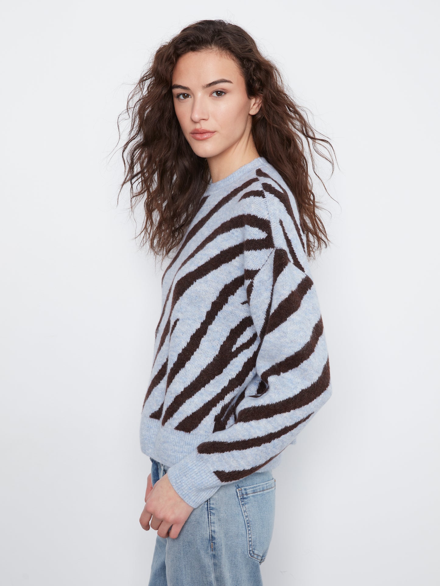CB Crewneck Jacquard Sweater