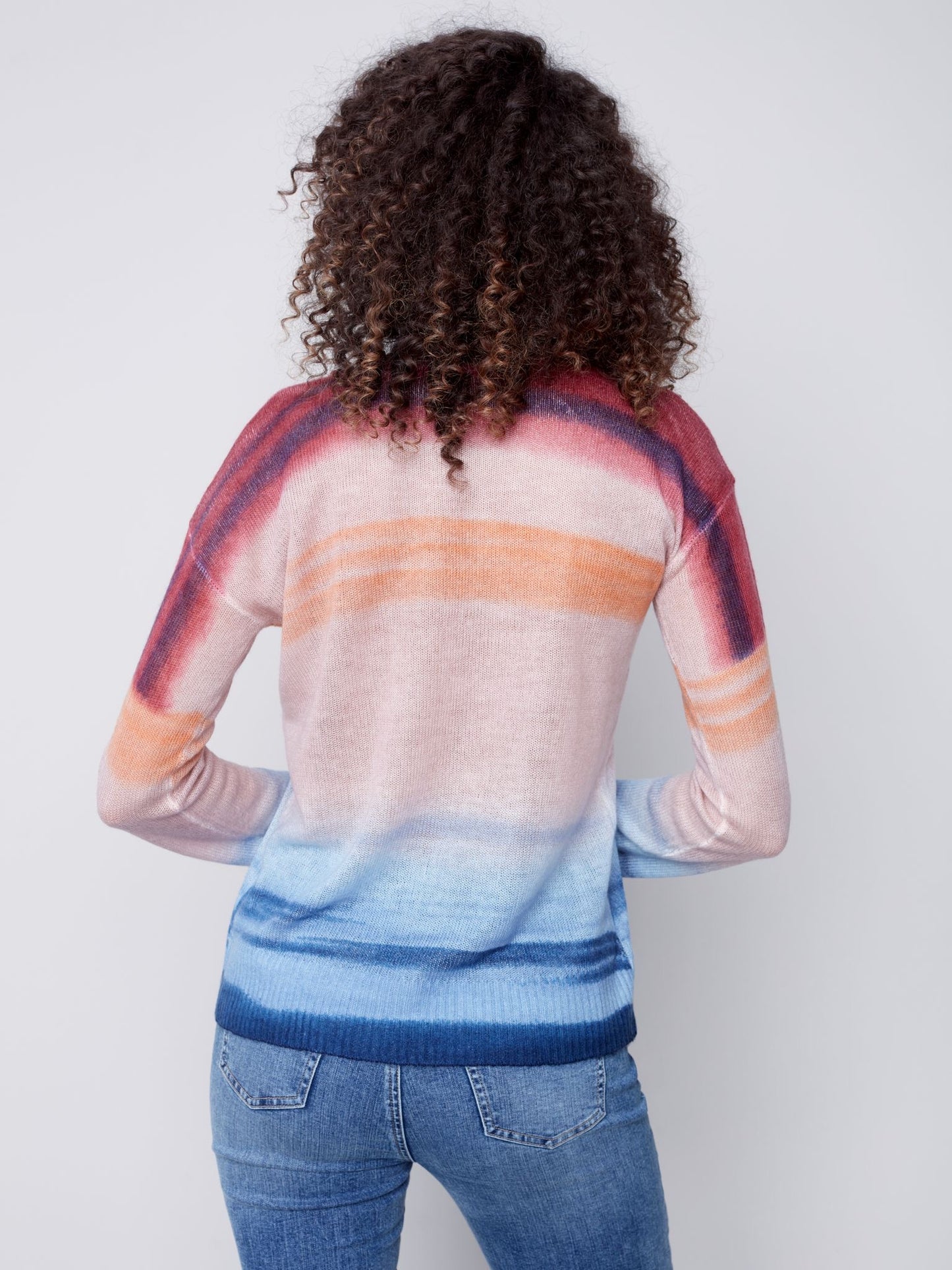 CB Printed Sheer Knit Sweater
